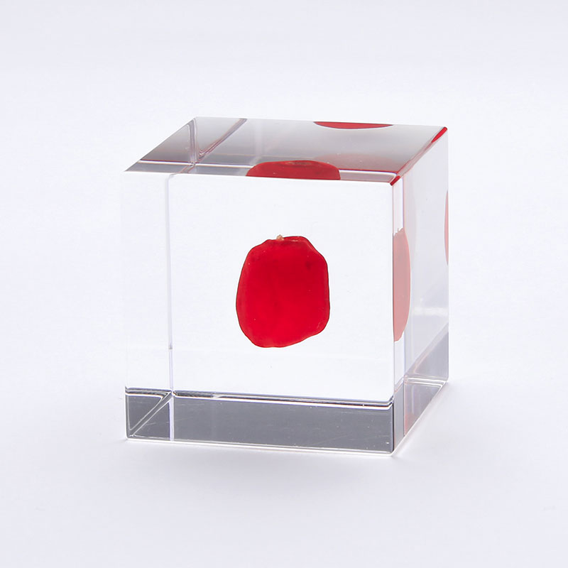 sola cube（ソラキューブ）ワイルーロ | インテリア雑貨セレクト 