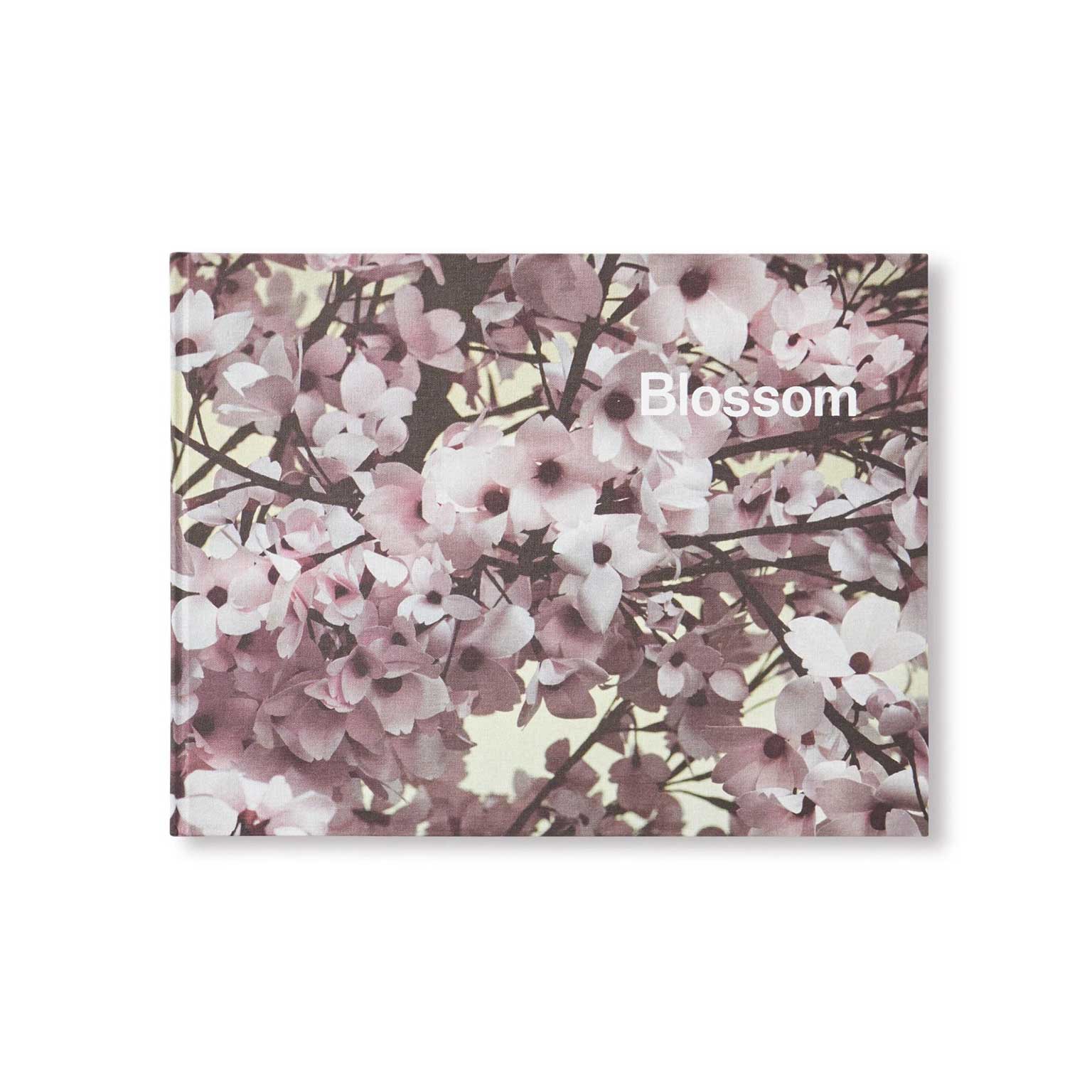 Blossom Thomas Demand Ben Lerner インテリア雑貨セレクトショップ Living Motif Online Shop